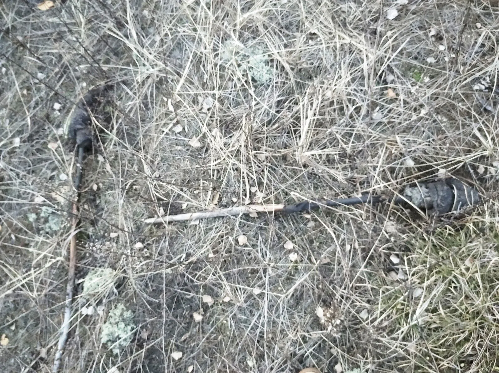 пожежа у чорнобилі пожежа у чорнобилі