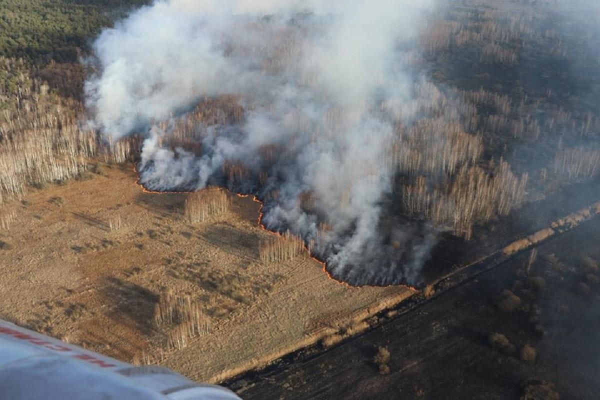 На пожежу в Чорнобилі вплинула і зміна клімату, – Державна екологічна інспекція