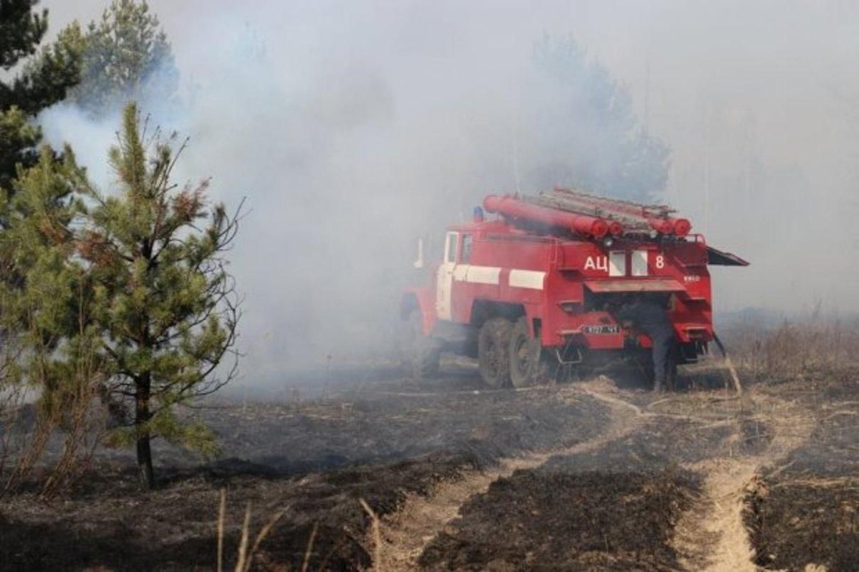 Масштабні пожежі в Чорнобильській зоні знищили 2 села