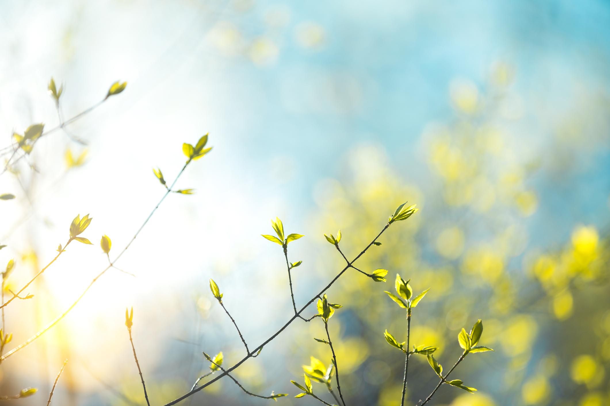 Погода 16 квітня 2020 Україна – що обіцяють синоптики Погода 16 квітня 2020 Україна – що обіцяють синоптики