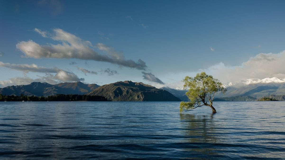 Microsoft запускає "Планетарний комп'ютер" для оцінки здоров'я Землі Microsoft запускає "Планетарний комп'ютер" для оцінки здоров'я Землі