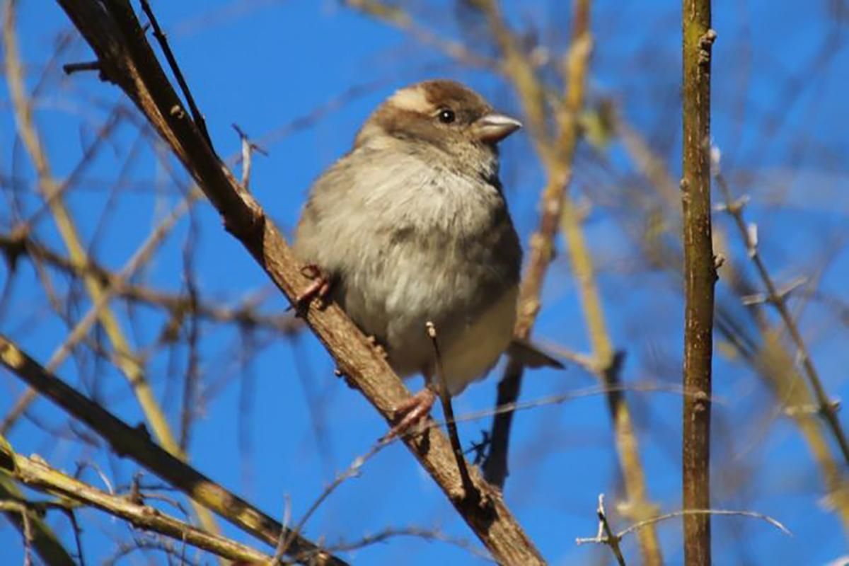 Прогноз погоды на 17 апреля: в Украине будет тепло и солнечно Прогноз погоды на 17 апреля: в Украине будет тепло и солнечно