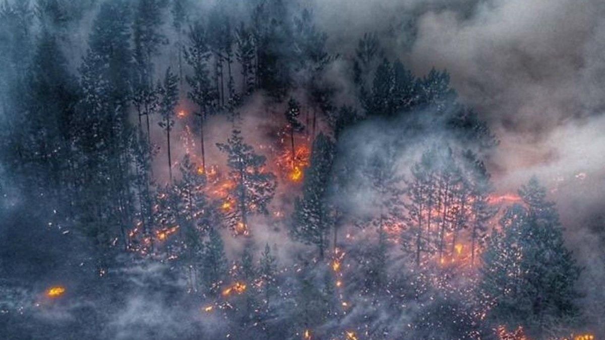 Для кого загрязненный воздух опасен и как уменьшить риски Для кого загрязненный воздух опасен и как уменьшить риски