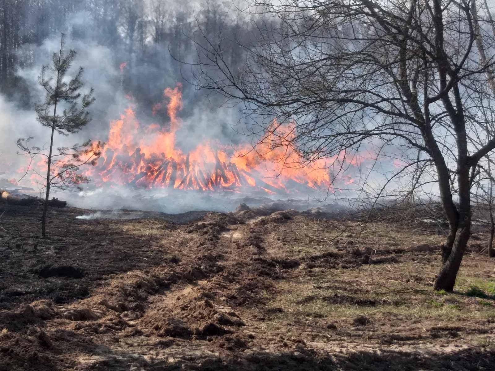 Мошенники наживаются на пожарах в Чернобыльской зоне