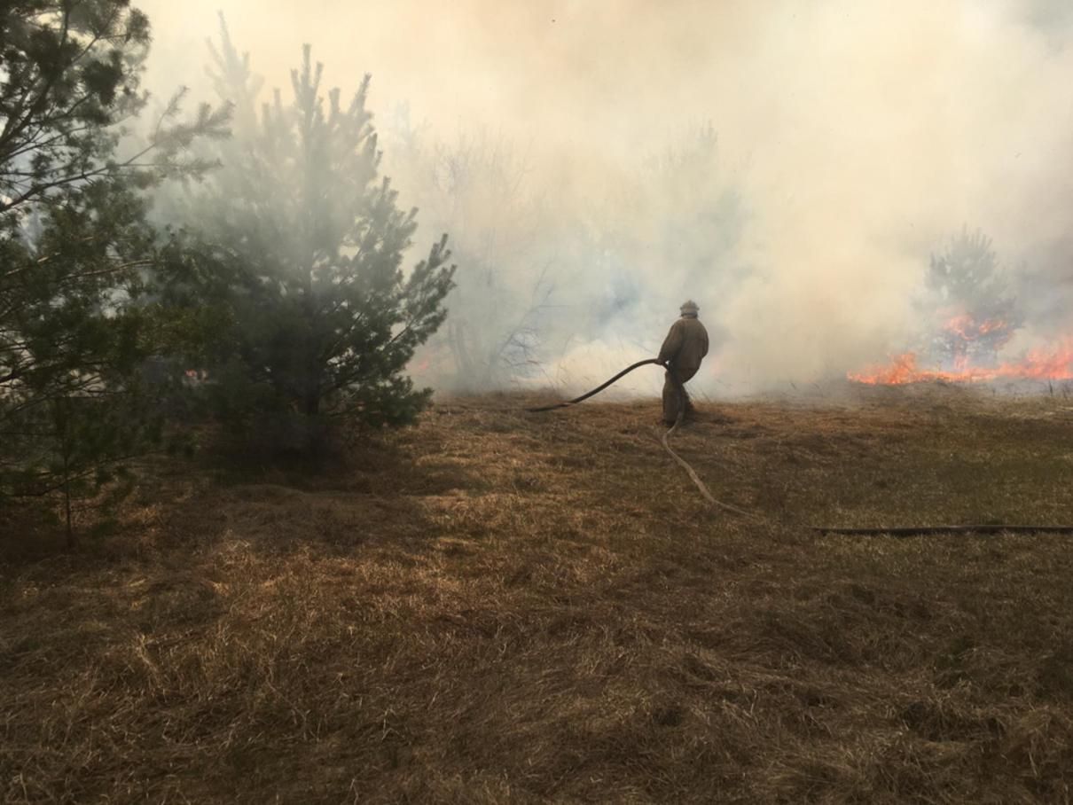 Пожежі на Київщині: пік буде на вихідних – ДСНС Пожежі на Київщині: пік буде на вихідних – ДСНС
