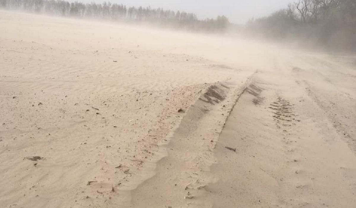 Песчаная буря "надула" пустыню на Черниговщине: невероятные фото