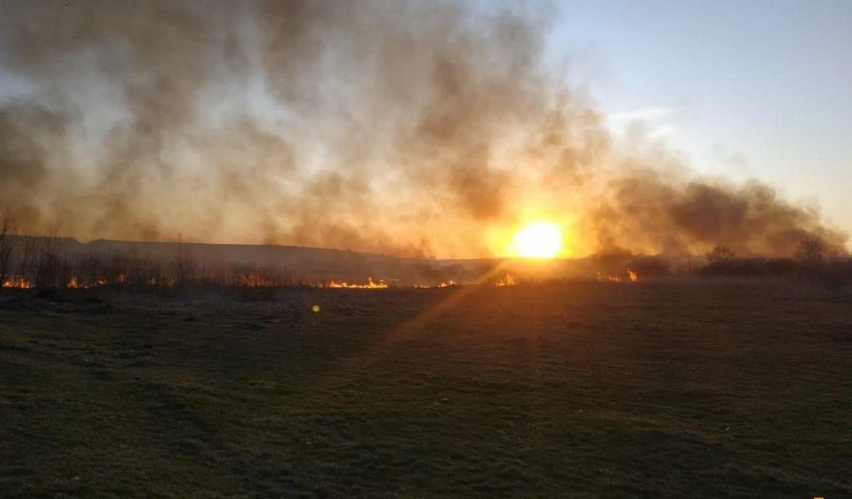 Під Тернополем загасили масштабну пожежу в орнітологічному заказнику: фото Під Тернополем загасили масштабну пожежу в орнітологічному заказнику: фото