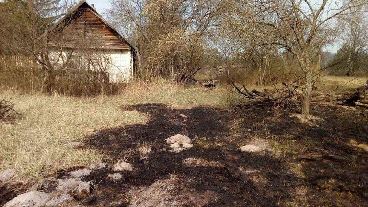 Який вигляд має село на Житомирщині, яке вигоріло вщент: промовисті фото