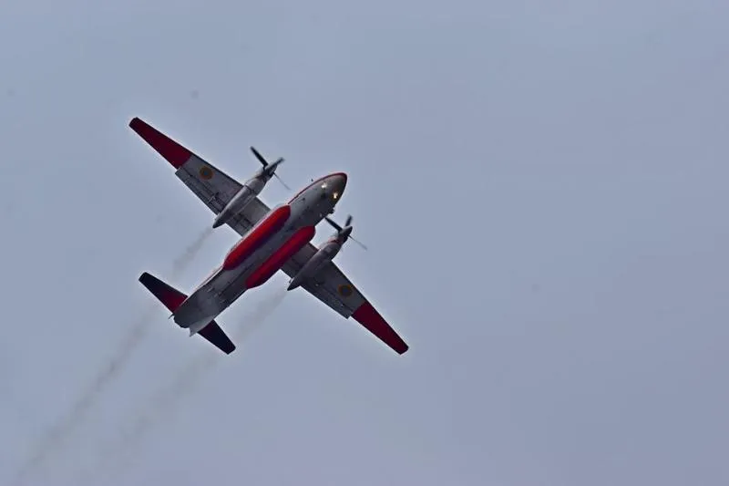 Пожежа, Житомирщина, ліс, ДСНС, надзвичайні ситуації Пожежа, Житомирщина, ліс, ДСНС, надзвичайні ситуації