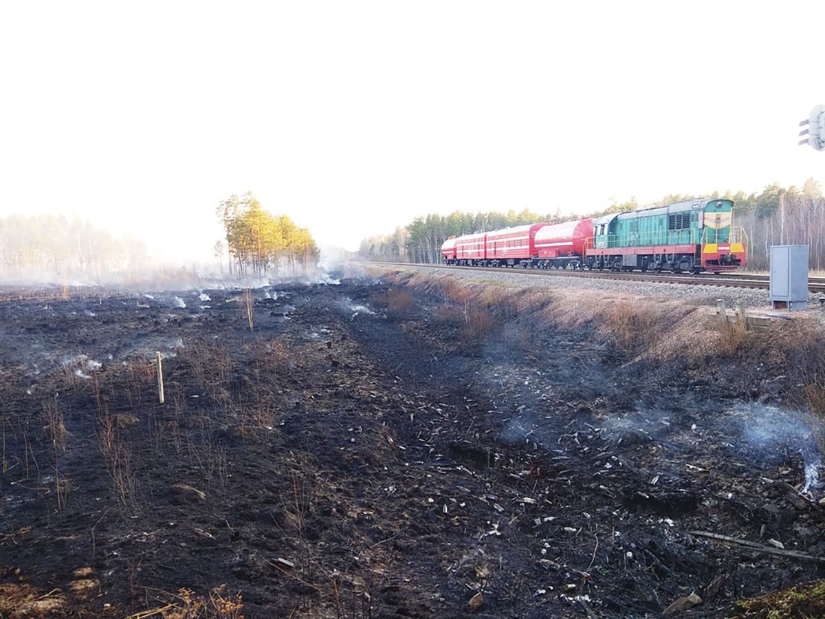 Пожежі в Україні 2020 можуть бути навмисними підпалами