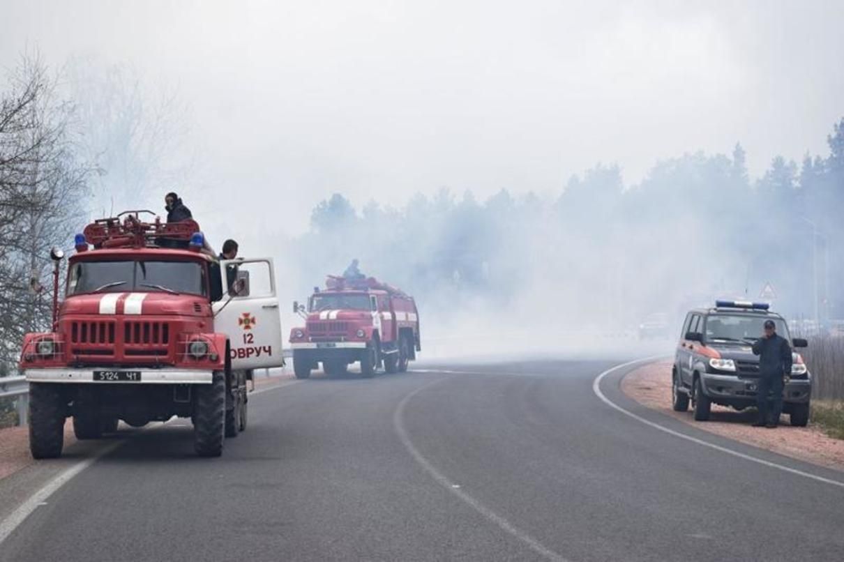 Пожежа на Житомирщині: підозрюють власників земель – новини