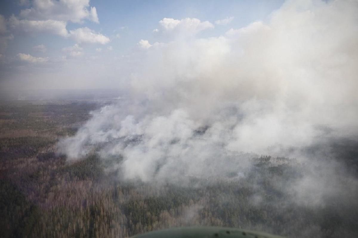 Пожежі на Житомирщині та у Чорнобильській зоні найпотужніші ще з минулого тисячоліття