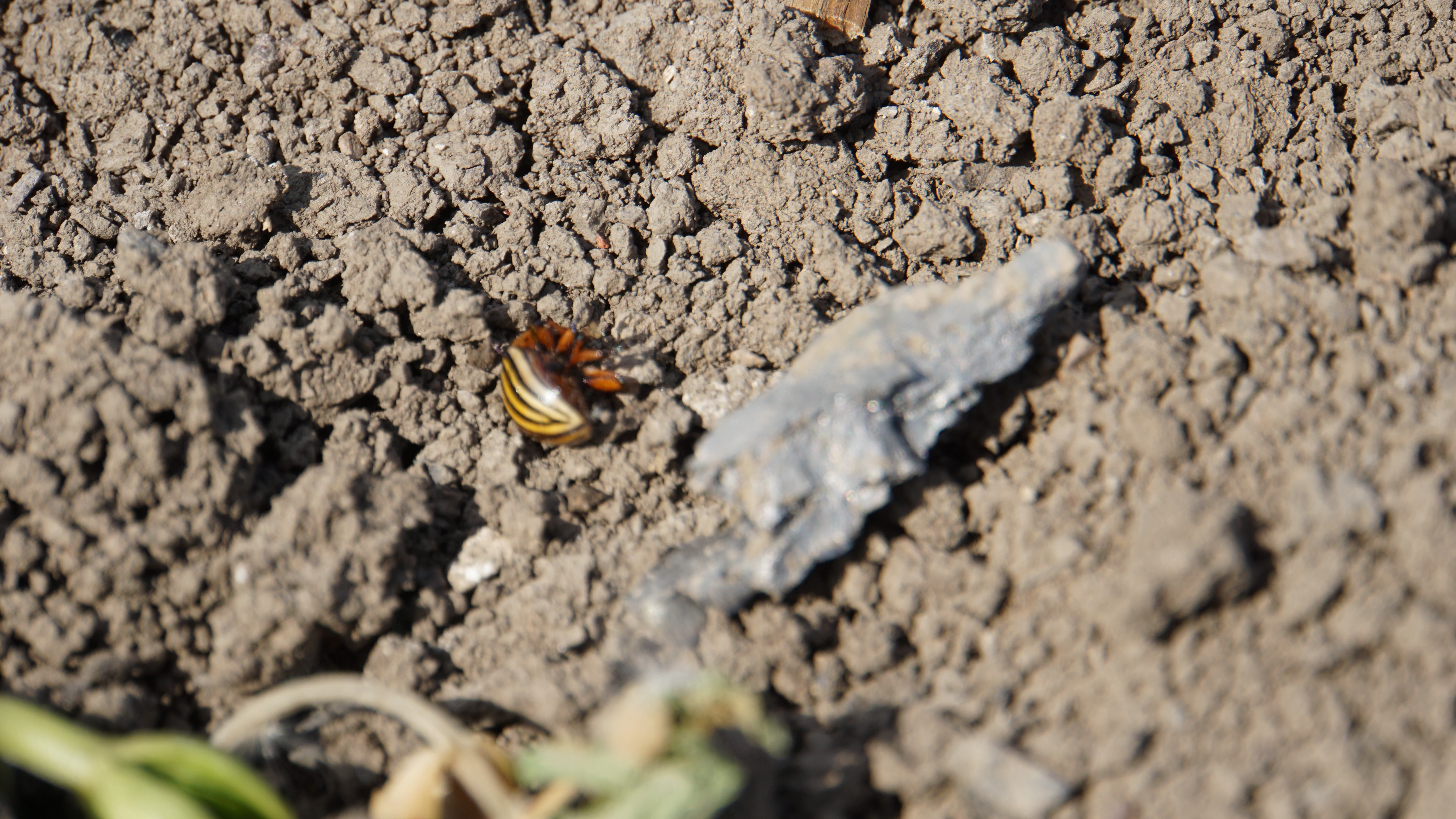 Після Великодня на Донбасі запанувала тиша Після Великодня на Донбасі запанувала тиша