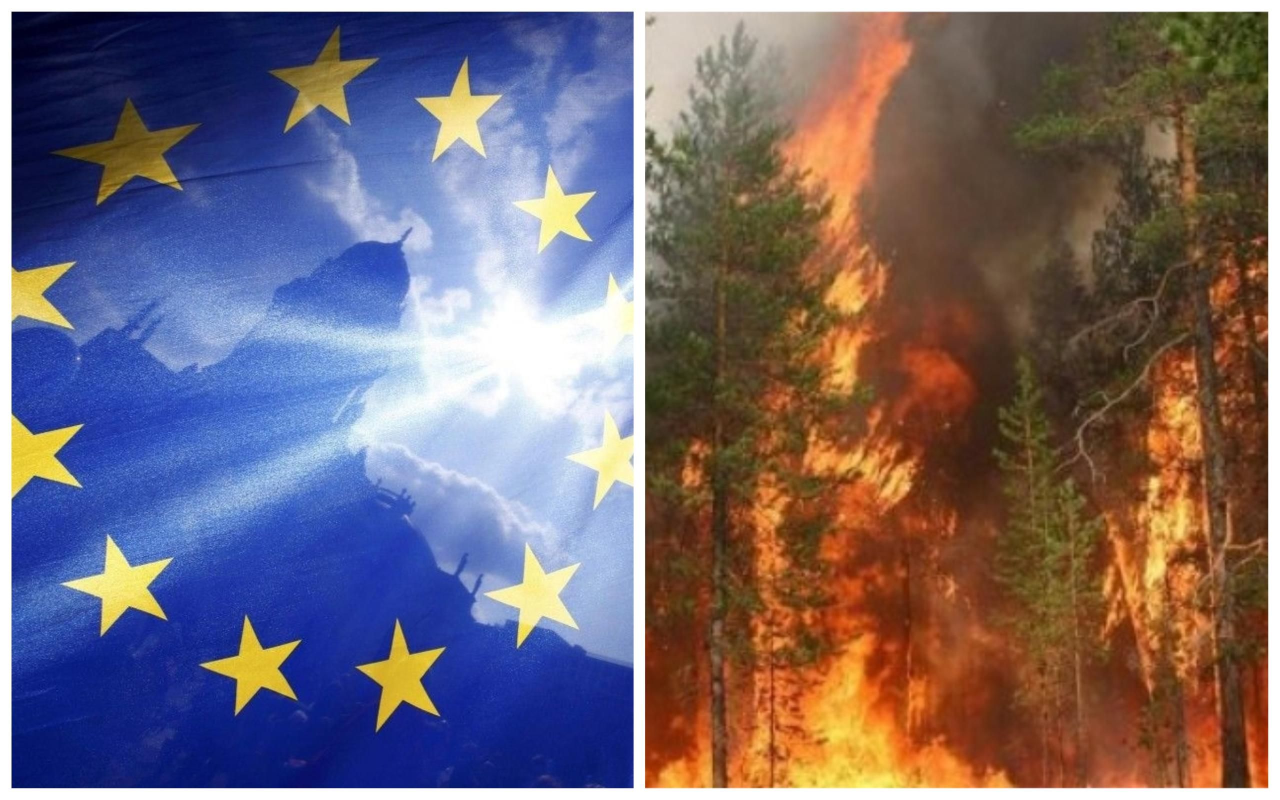 ЄС готовий надати Україні підтримку для боротьби з пожежами в Чорнобильській зоні