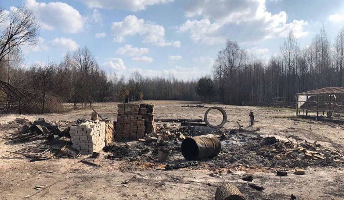 Через пожежі на Житомирщині вигоріло ціле село: місцеві розповіли, як втікали від вогню