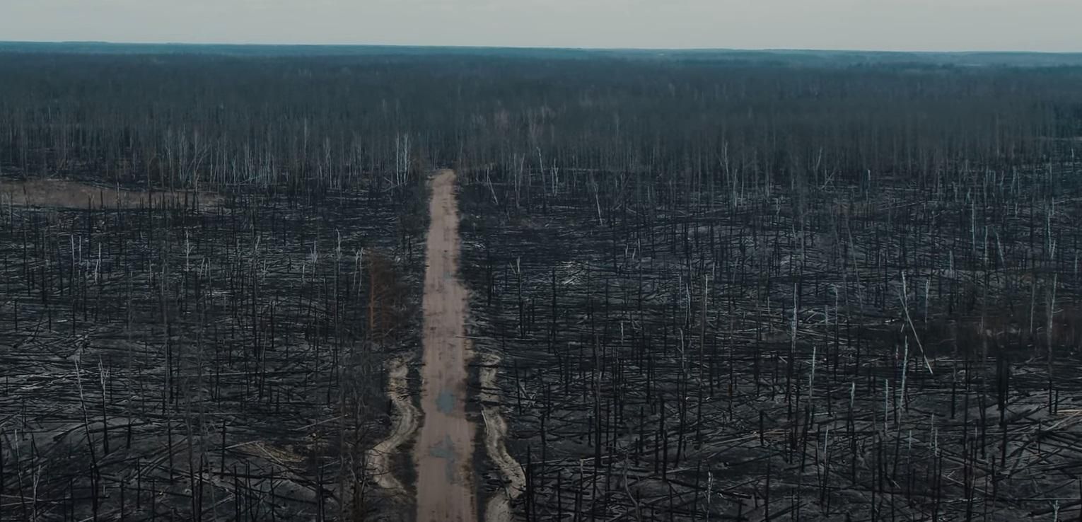 Наслідки пожежі у Чорнобильській зоні зняли з дрона: моторошне відео