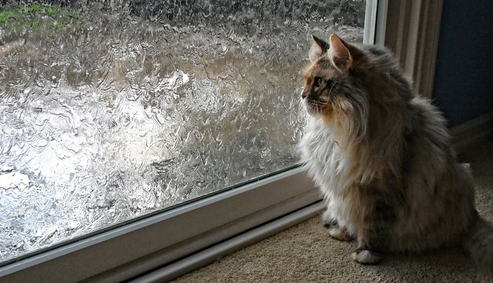 Погода 22 квітня 2020, Україна – яку погоду обіцяє синоптик Погода 22 квітня 2020, Україна – яку погоду обіцяє синоптик