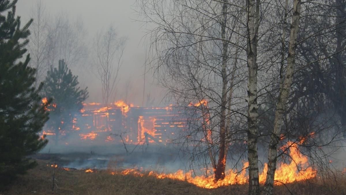 В Житомирской области исчезла жительница сгоревшего села, – СМИ В Житомирской области исчезла жительница сгоревшего села, – СМИ
