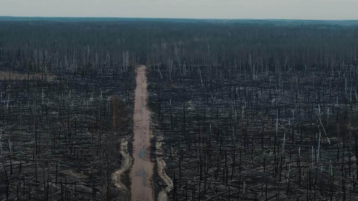 Год президентства Зеленского, 94 – королеве Елизавете II, прокол Huawei: фото 21 апреля Год президентства Зеленского, 94 – королеве Елизавете II, прокол Huawei: фото 21 апреля