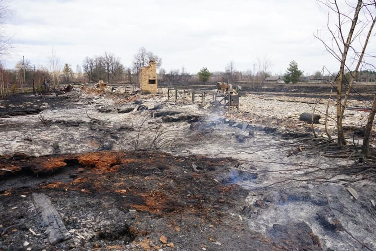 Назвали вероятную причину масштабных пожаров на Житомирщине Назвали вероятную причину масштабных пожаров на Житомирщине