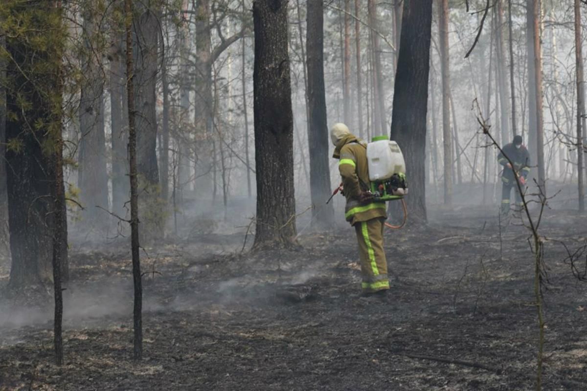 Пожежа в Чорнобильській зоні: рятувальники виявили підготоване місце для підпалу