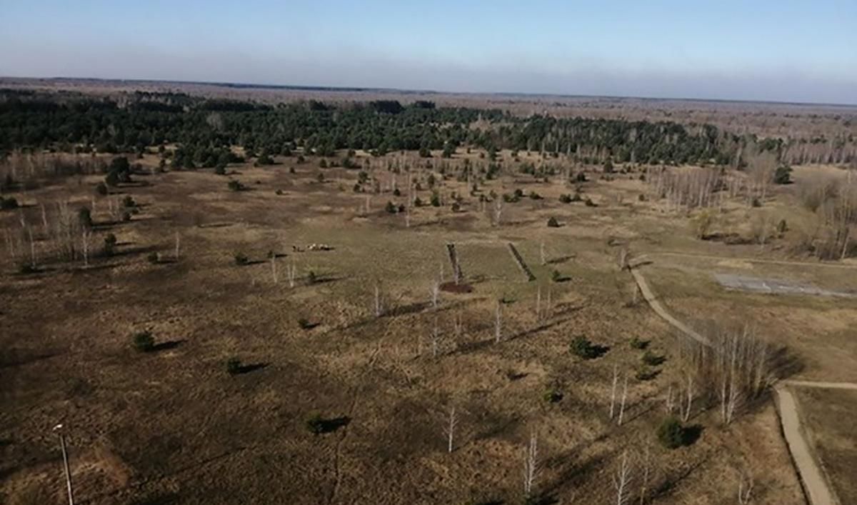 У Чорнобильській зоні розгорілися торфовища, дим видно з ЧАЕС: деталі
У Чорнобильській зоні розгорілися торфовища, дим видно з ЧАЕС: деталі