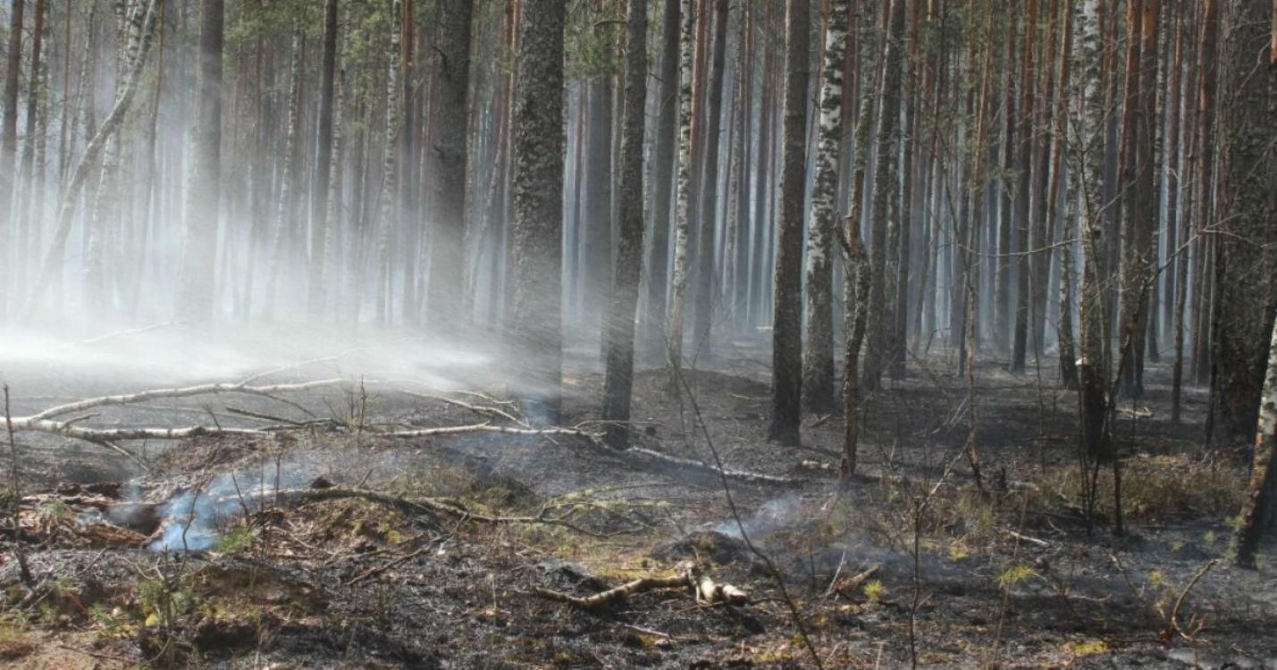 В августе все может повториться, – депутат про масштабный пожар в Чернобыле В августе все может повториться, – депутат про масштабный пожар в Чернобыле