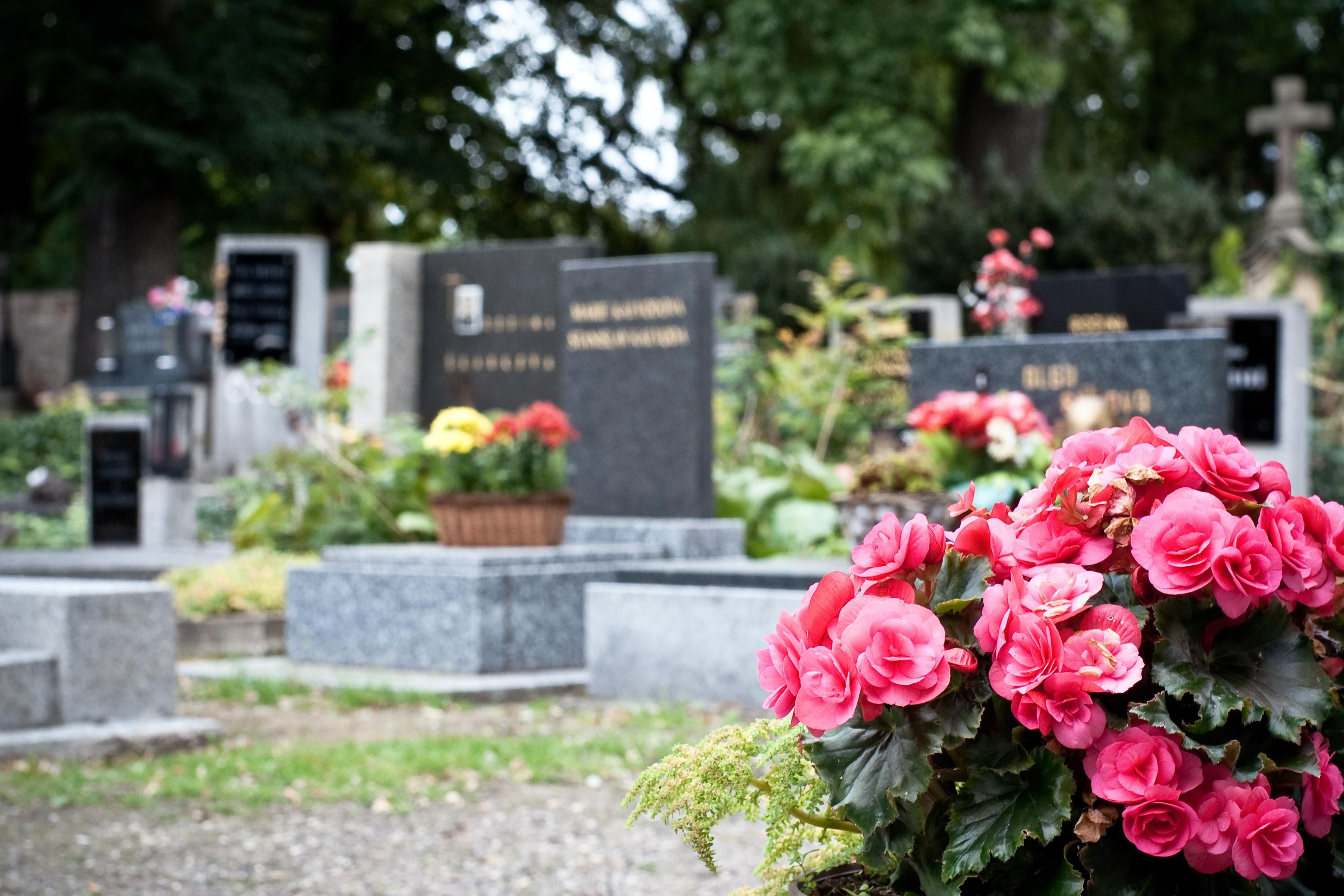 У Харкові заборонили відвідувати кладовища, їх посилено охоронятиме поліція: деталі