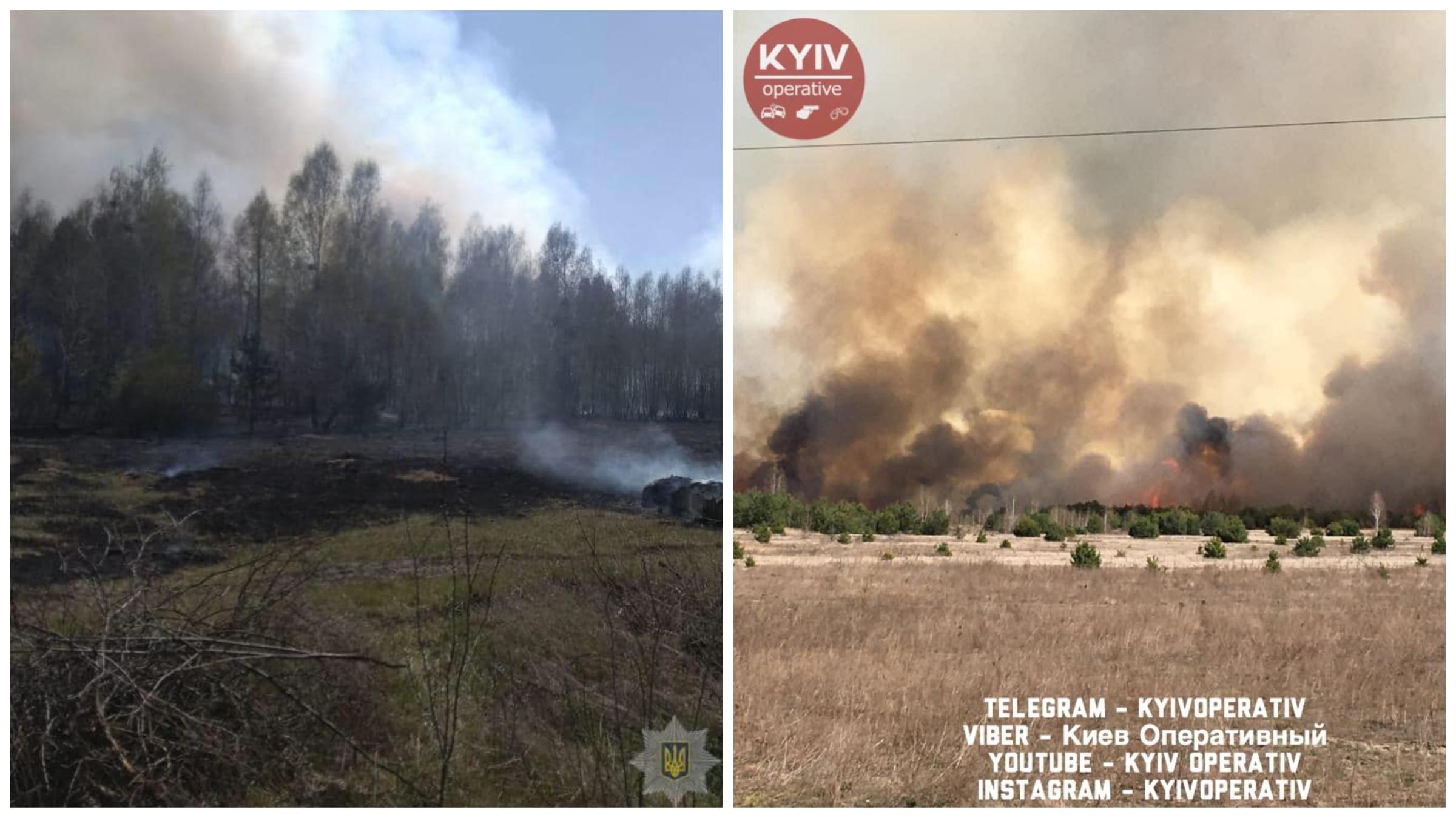 Новые масштабные лесные пожары под Киевом: снова горит сухостой – фото, видео