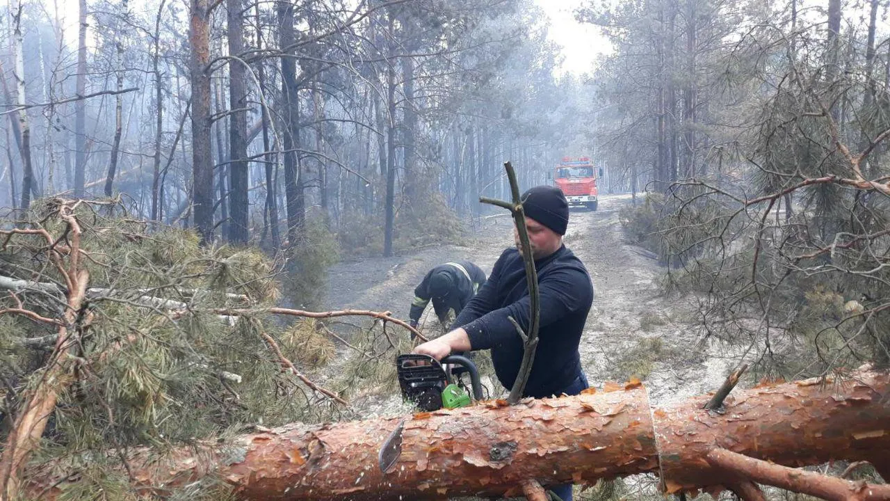 Пожеже, Житомирщина, ДСНС, гасіння, рятувальники 