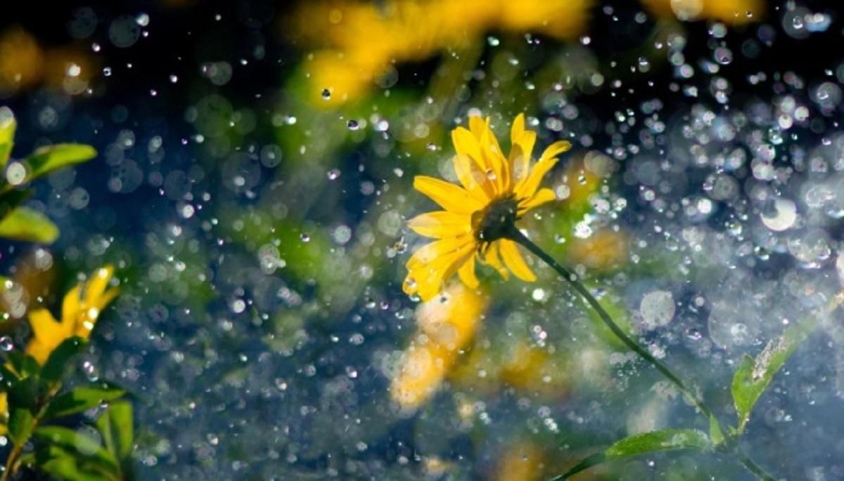 Погода 25 апреля 2020, Украина – какую погоду обещает синоптик Погода 25 апреля 2020, Украина – какую погоду обещает синоптик