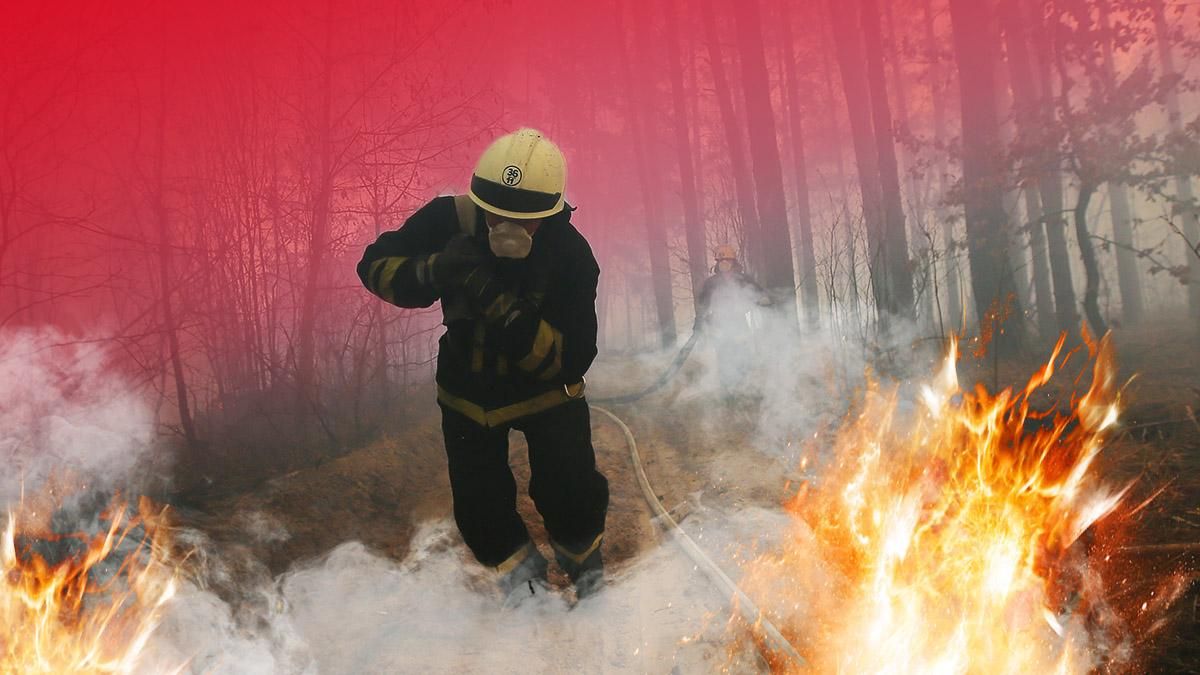 Лесные пожары в Чернобыле: инфографика