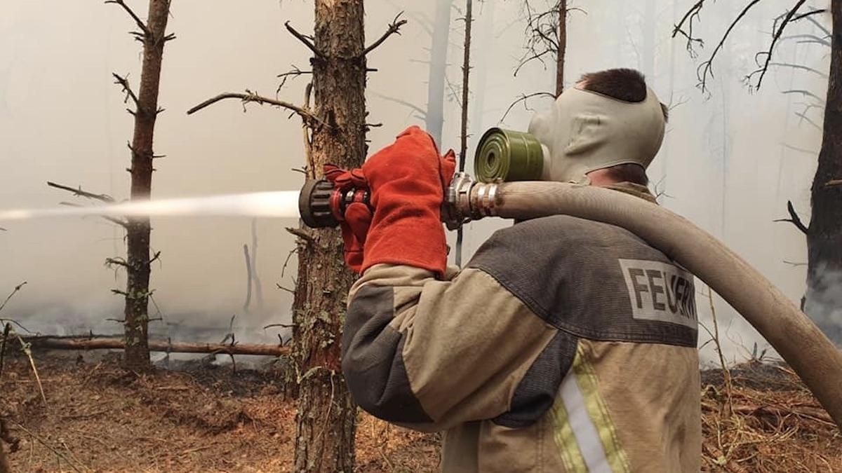 Пожежа у Чорнобильській зоні: як від вогню постраждали рослини і тварини