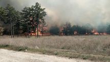 5 гектарів лісу горіли біля Енергодару на Запоріжжі: фото