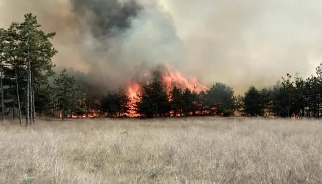 пожежа запоріжжя