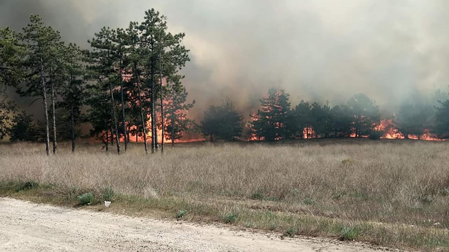 5 гектаров леса горели возле Энергодара на Запорожье: фото 5 гектаров леса горели возле Энергодара на Запорожье: фото