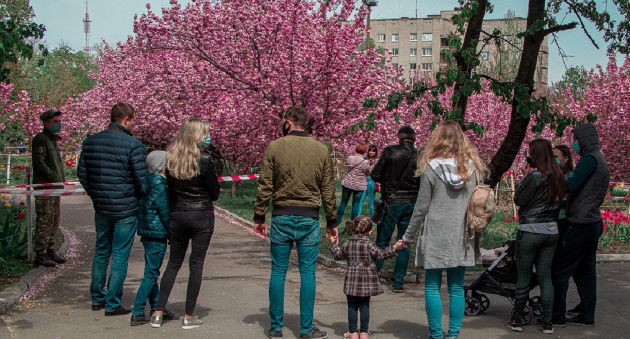 У Дніпрі зацвіли сакури: люди стали у черги, щоб зробити фото У Дніпрі зацвіли сакури: люди стали у черги, щоб зробити фото