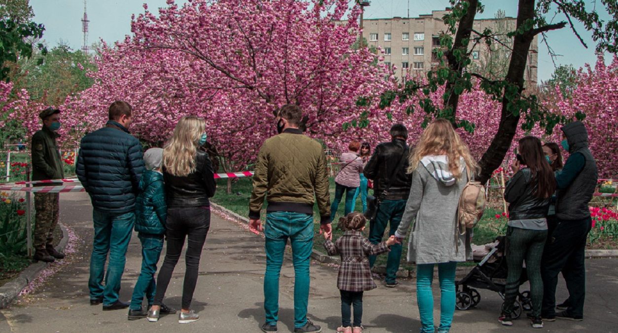 В Днепре зацвели сакуры: люди стали в очередь, чтобы сделать фото