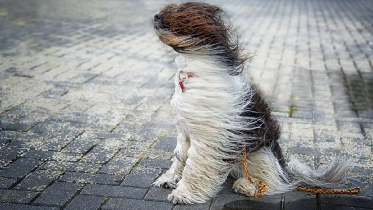 Синоптики оголосили штормове попередження в Україні 26 квітня Синоптики оголосили штормове попередження в Україні 26 квітня