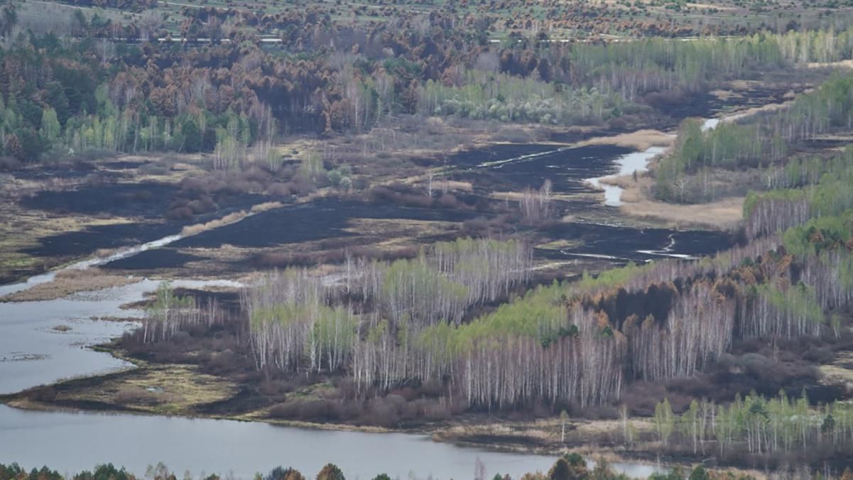 Як повертатимуть до життя Чорнобильську зону після масштабних пожеж: деталі Як повертатимуть до життя Чорнобильську зону після масштабних пожеж: деталі