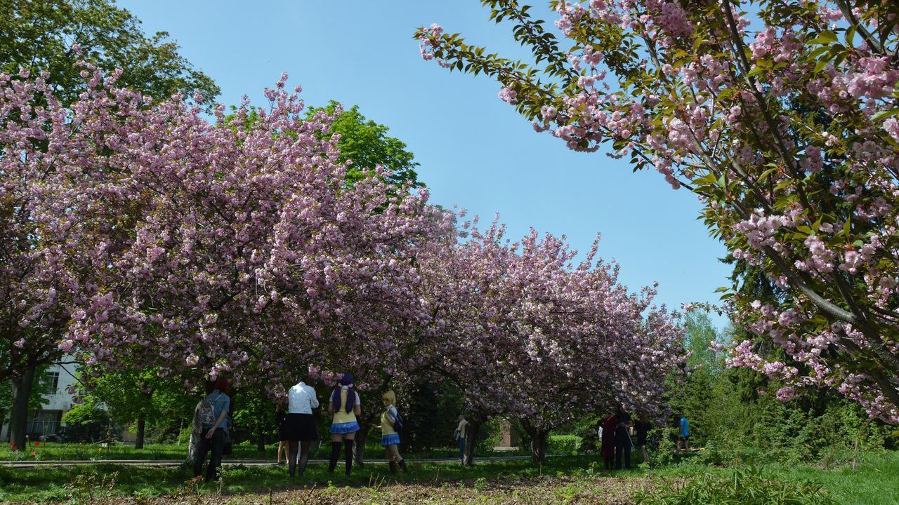 Погода 28 квітня 2020, Україна – яку погоду обіцяє синоптик Погода 28 квітня 2020, Україна – яку погоду обіцяє синоптик