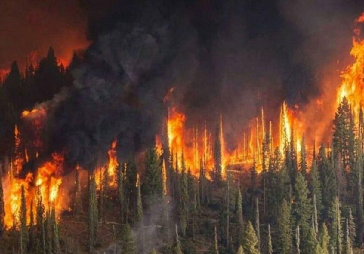 В России в апреле 2020 – лесные пожары: ситуация – критическая В России в апреле 2020 – лесные пожары: ситуация – критическая