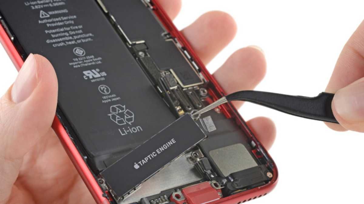 Эксперты разобрали iPhone SE 2020: начинка приятно удивила - новости  мобильных телефонов - Техно