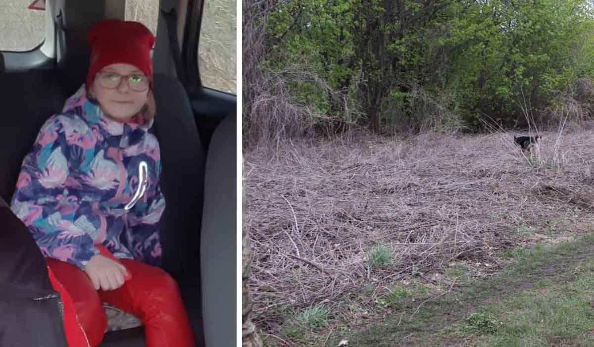 Смерть 6-летней Миланы Шевелевой на Харьковщине: полиция рассказала детали Смерть 6-летней Миланы Шевелевой на Харьковщине: полиция рассказала детали