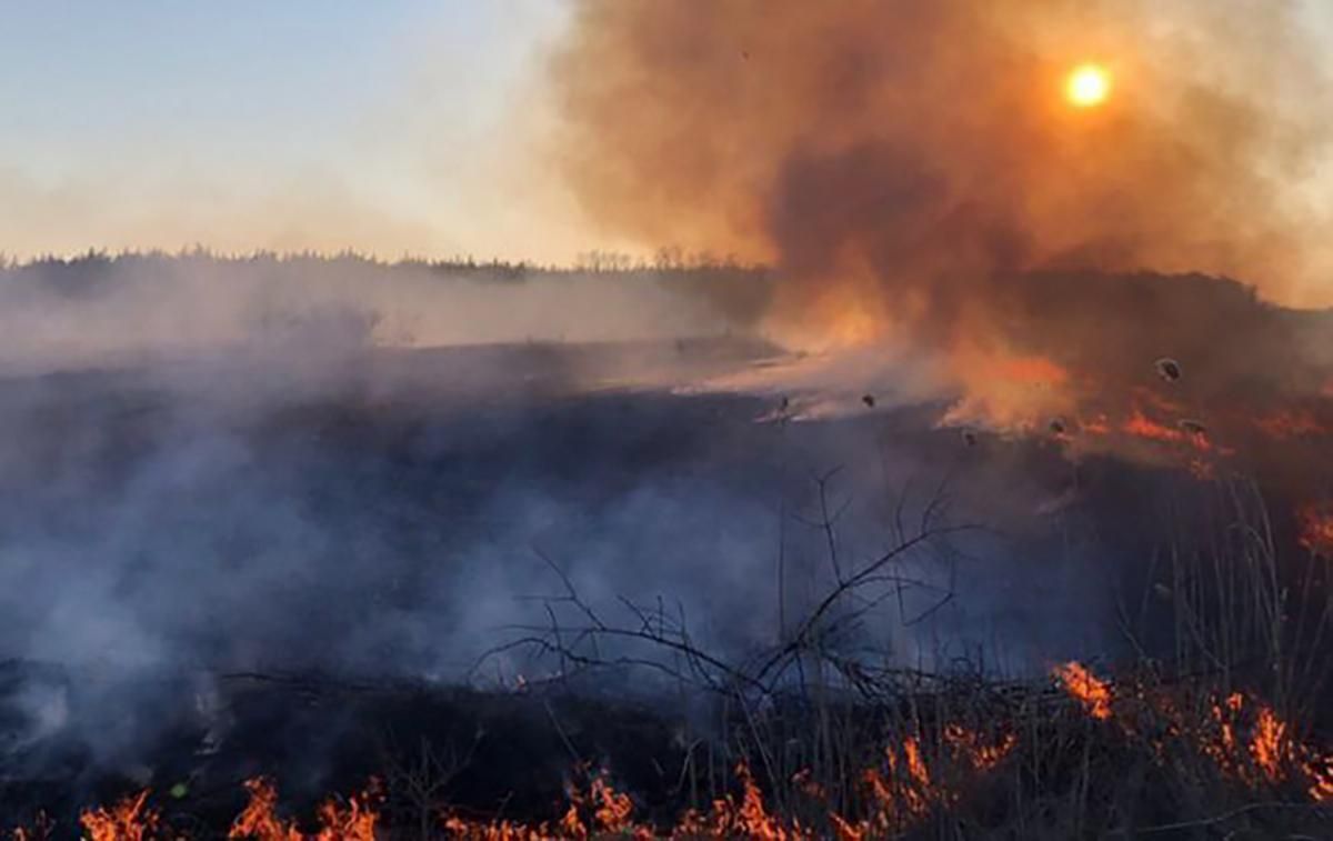 Пожары на Житомирщине: возникли четыре новых очага