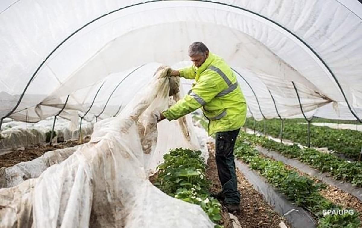 Чартери для виїзду українців на роботу за кордон - реакція уряду Чартери для виїзду українців на роботу за кордон - реакція уряду