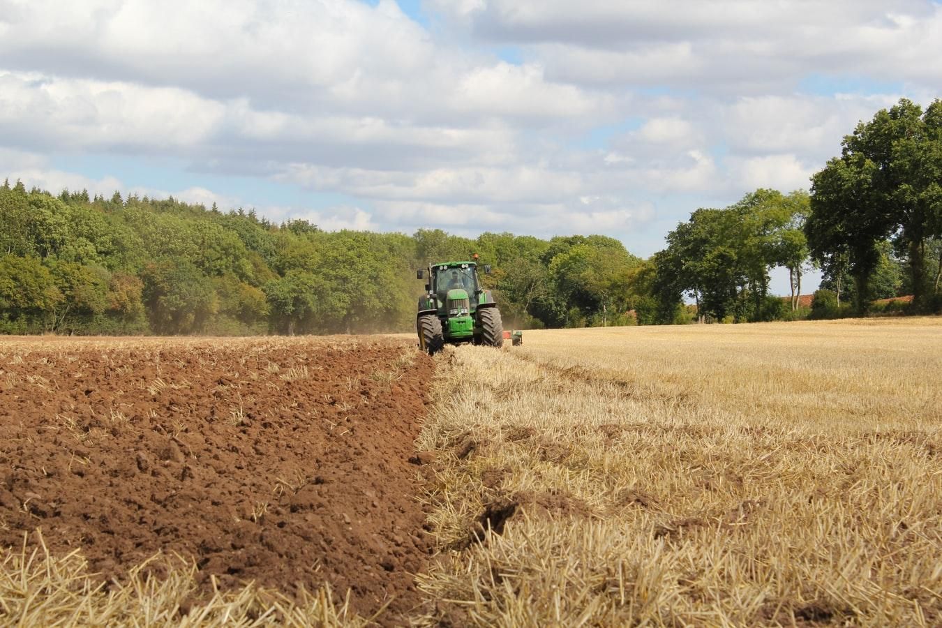 Ринок землі в Україні: скільки коштуватиме гектар землі - ціни