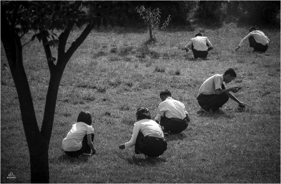 кндр учні стрижуть газон кндр учні стрижуть газон