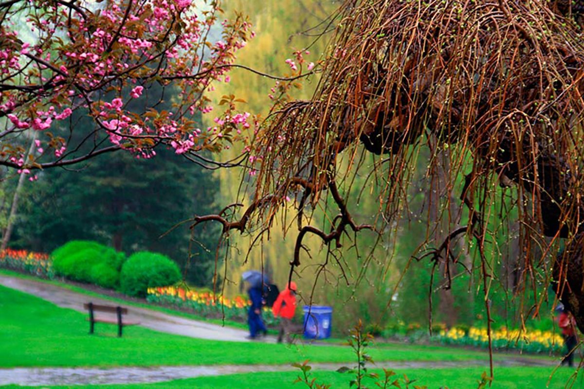 Погода 3 мая 2020, Украина – какую погоду обещает синоптик Погода 3 мая 2020, Украина – какую погоду обещает синоптик