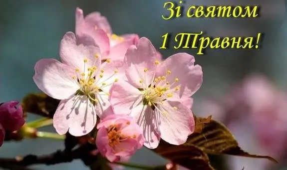 Картинки з 1 травня Картинки з 1 травня